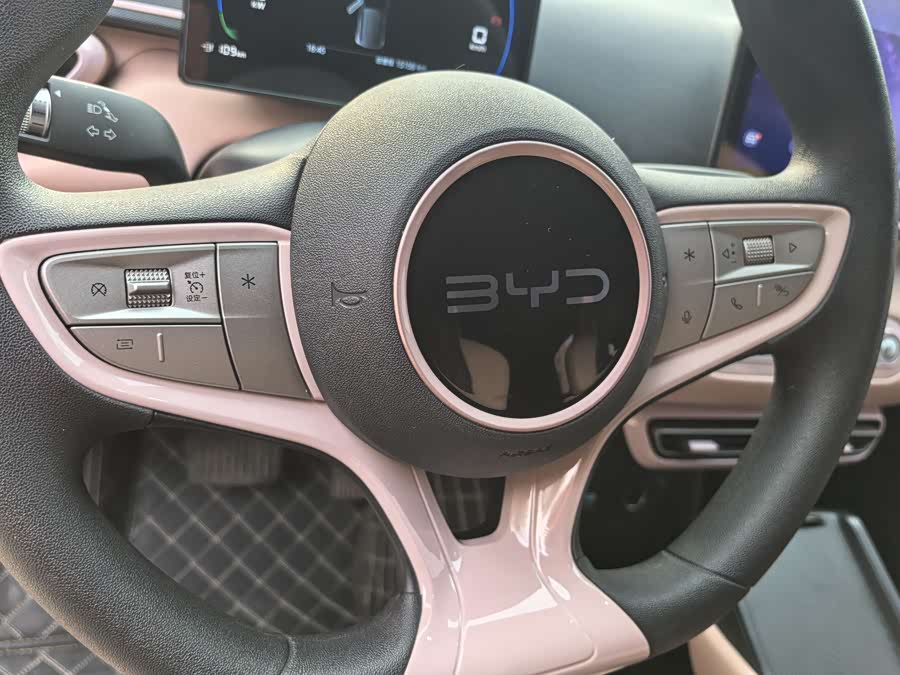 BYD Seagull 2025 imagen de coche #11