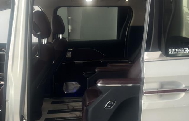 HongQi HQ9 2023 car image #11