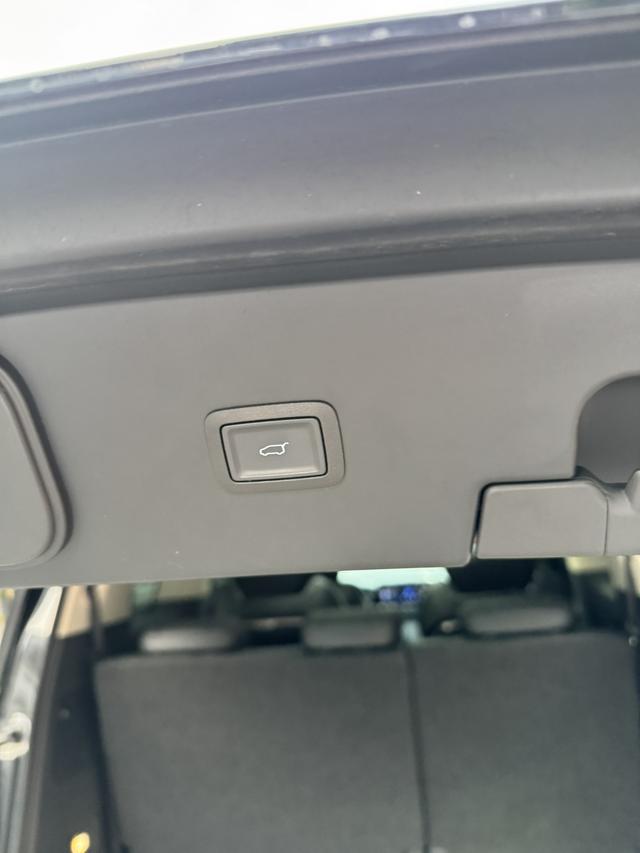 HongQi HQ9 2023 car image #11