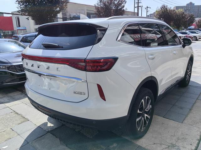 Haval H6 2021 car image #11