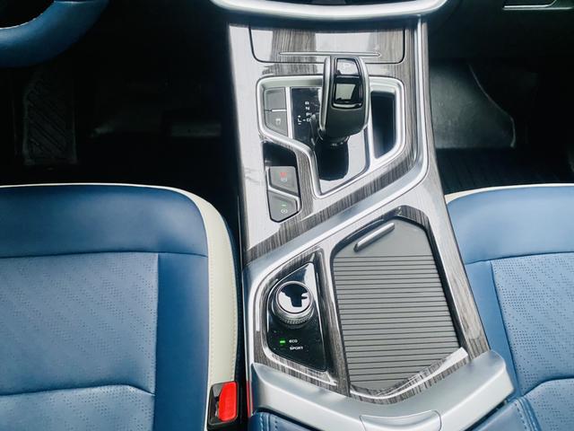 睿蓝汽车 枫叶80v PRO 2023 汽车图片 #11