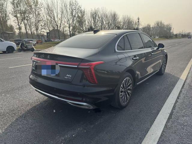 HongQi E-HS3 2025 #11 HongQi E-HS3 2025 car image #11