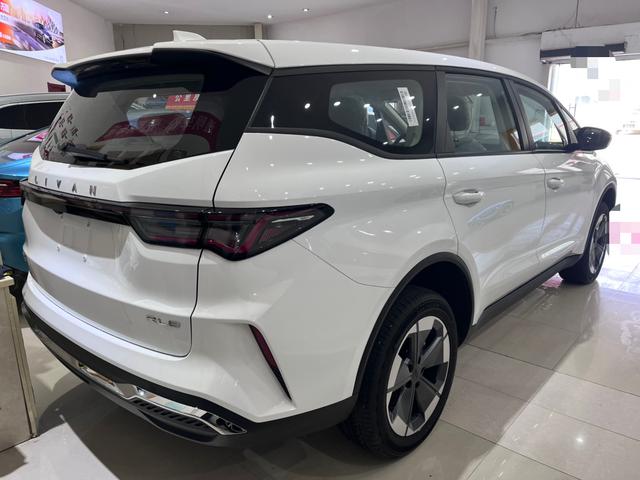 睿蓝汽车 睿蓝8 2025 汽车图片 #11