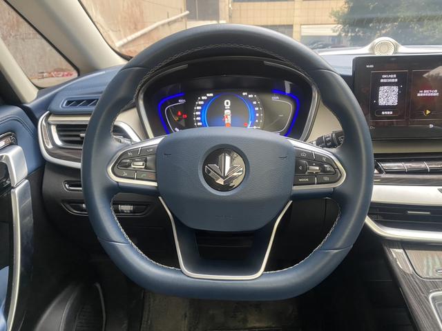 睿蓝汽车 枫叶80v PRO 2023 汽车图片 #11