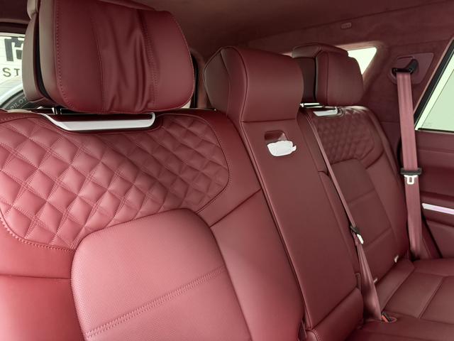 Tank 700 New Energy 2025 immagine di auto #11