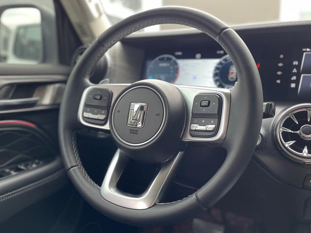 Tank 300 2023 car image #11