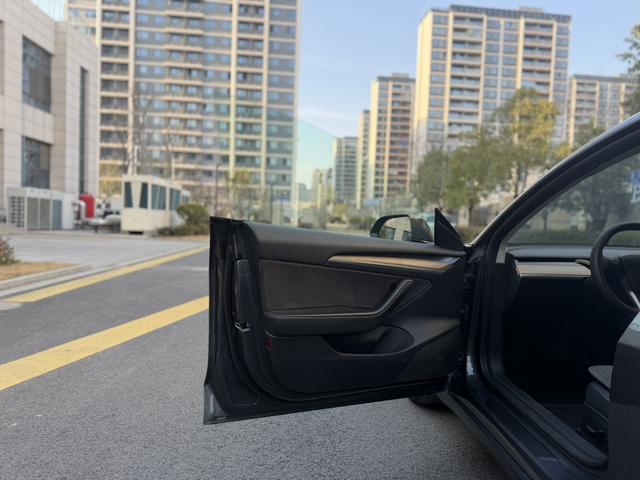 Tesla Model 3 2020 car image #11