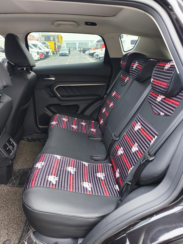 Haval H6 2019 car image #11