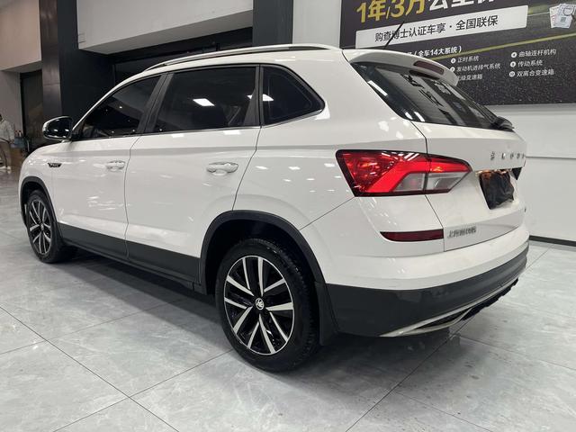 Skoda Kamiq 2020 car image #11