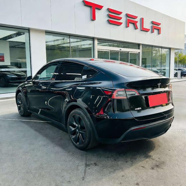 Tesla Model Y 2023 car image #11