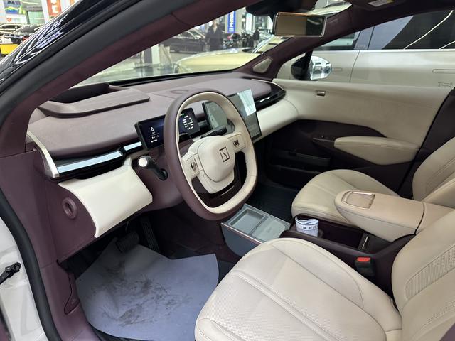 极氪 极氪X 2023 汽车图片 #11