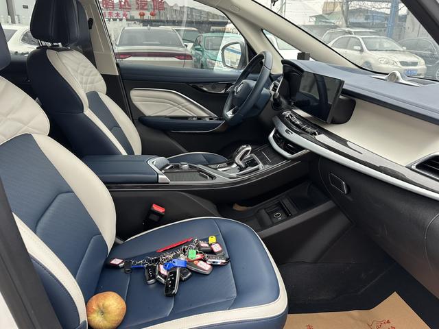 睿蓝汽车 枫叶80v PRO 2024 汽车图片 #11