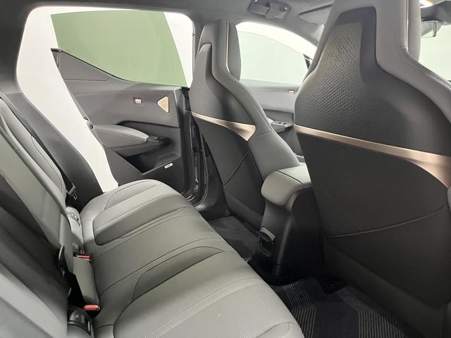 极氪 极氪X 2024 汽车图片 #11