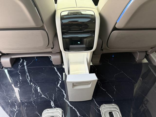 Denza D9 2023 imagem de carro #11