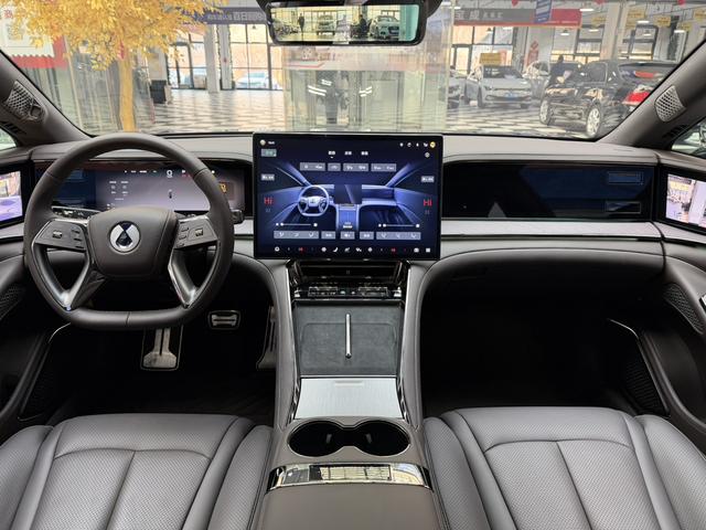 Denza 2024 imagem de carro #11