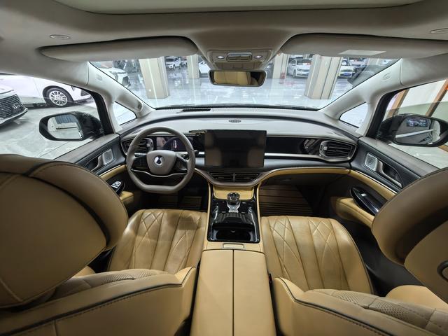 Denza D9 2023 imagen de coche #11