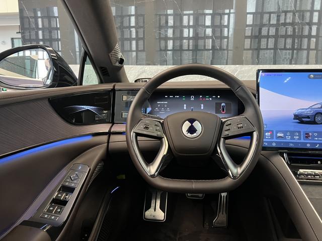 Denza 2024 immagine di auto #11