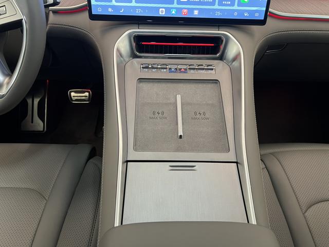 Denza 2025 imagem de carro #11