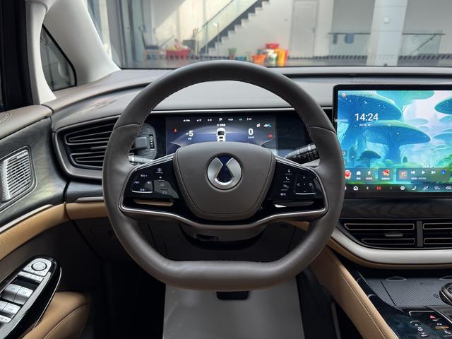 Denza D9 2023 image de voiture #11