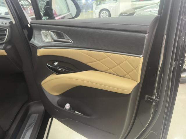 Denza D9 2025 imagem de carro #11