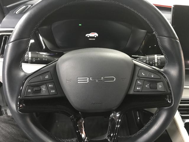 BYD Song Plus New Energy 2024 car image #11