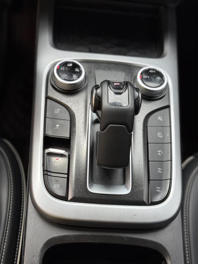 Tank 300 2022 car image #11