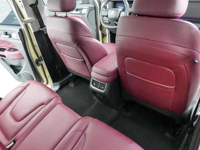 Tank 300 2025 immagine di auto #11