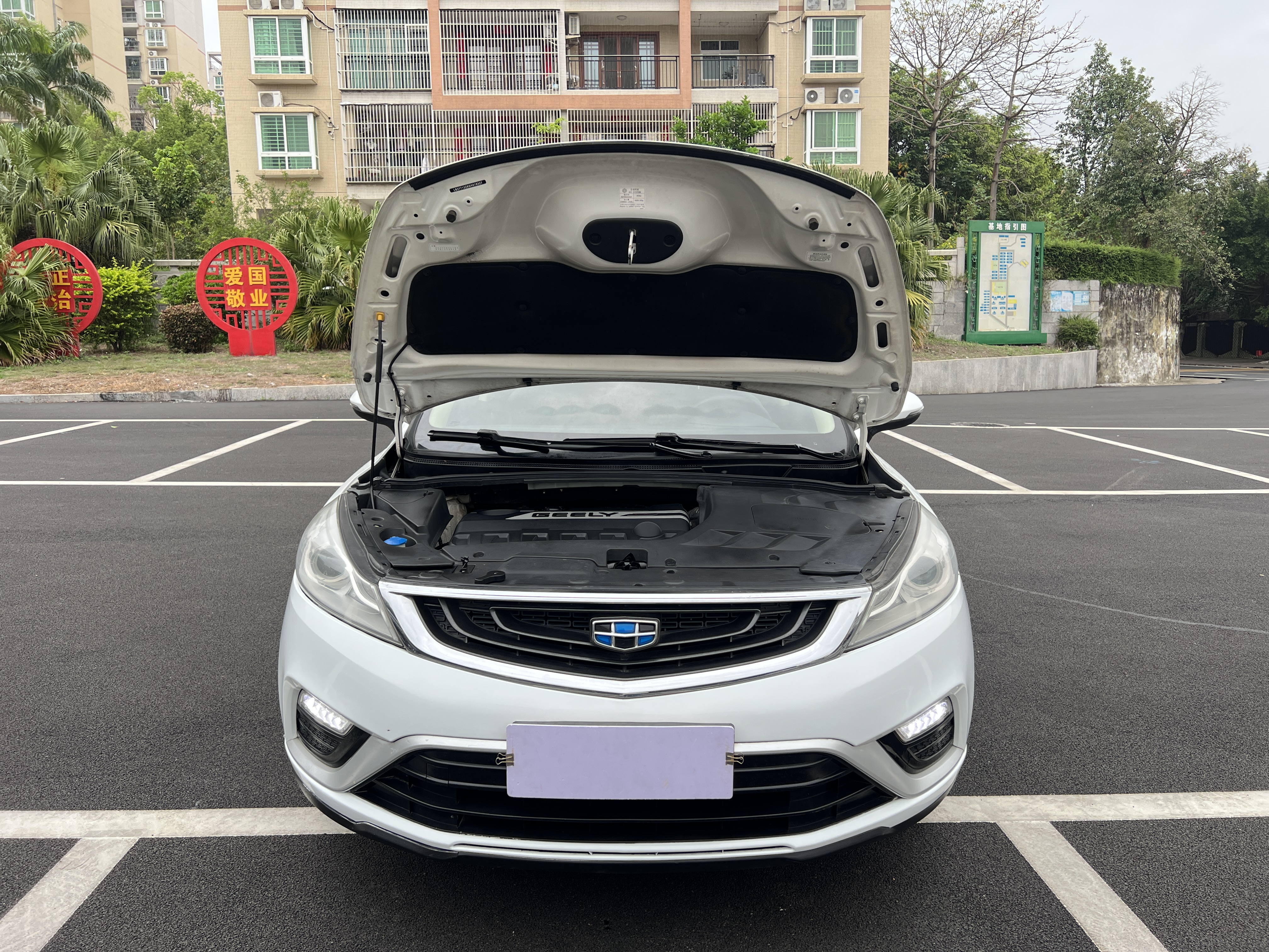 Emgrand GS 2016 #11 Emgrand GS 2016 car image #11
