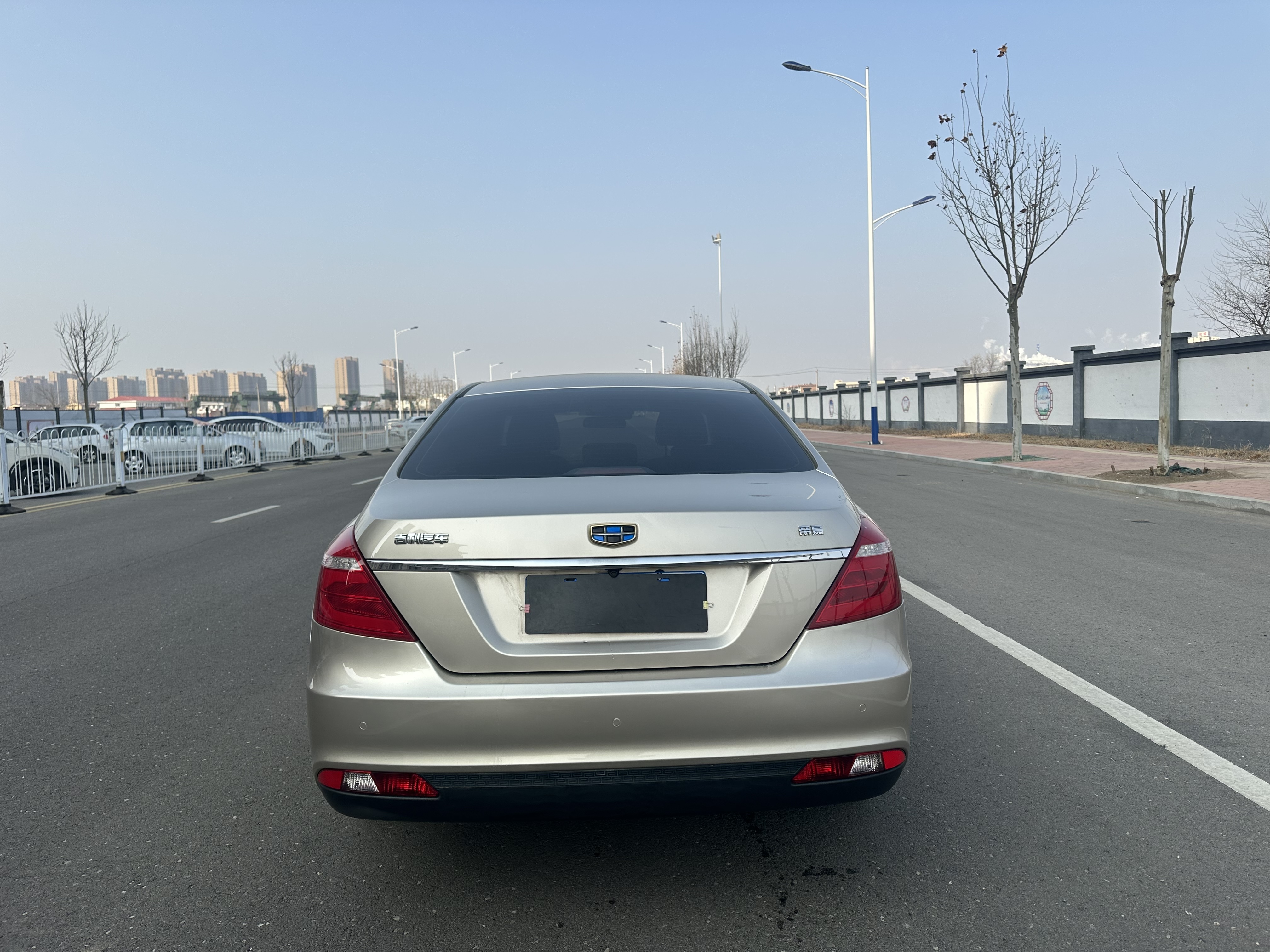 Emgrand 2017 car image #11