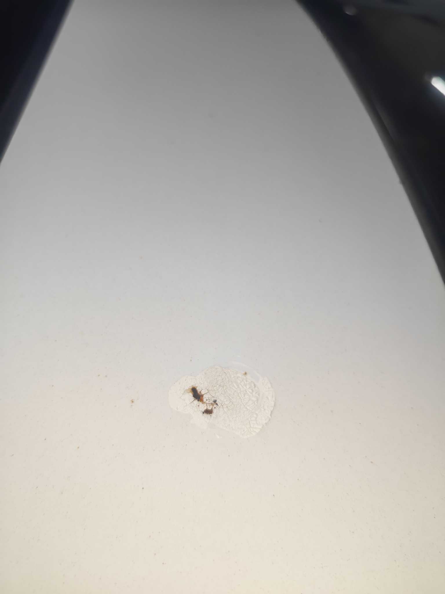 Honda City 2013 изображение автомобиля #11