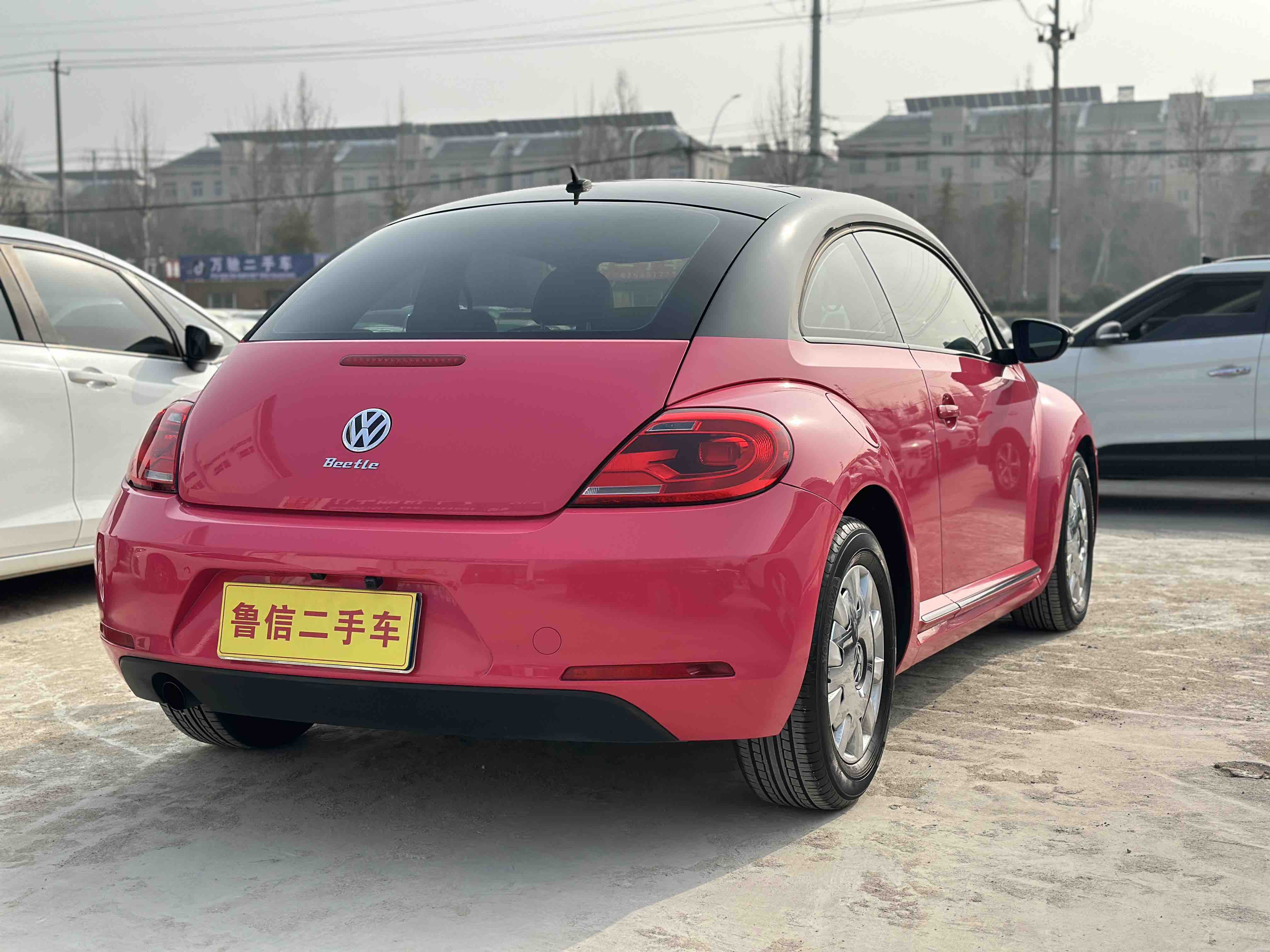 Volkswagen Beetle 2014 immagine di auto #11