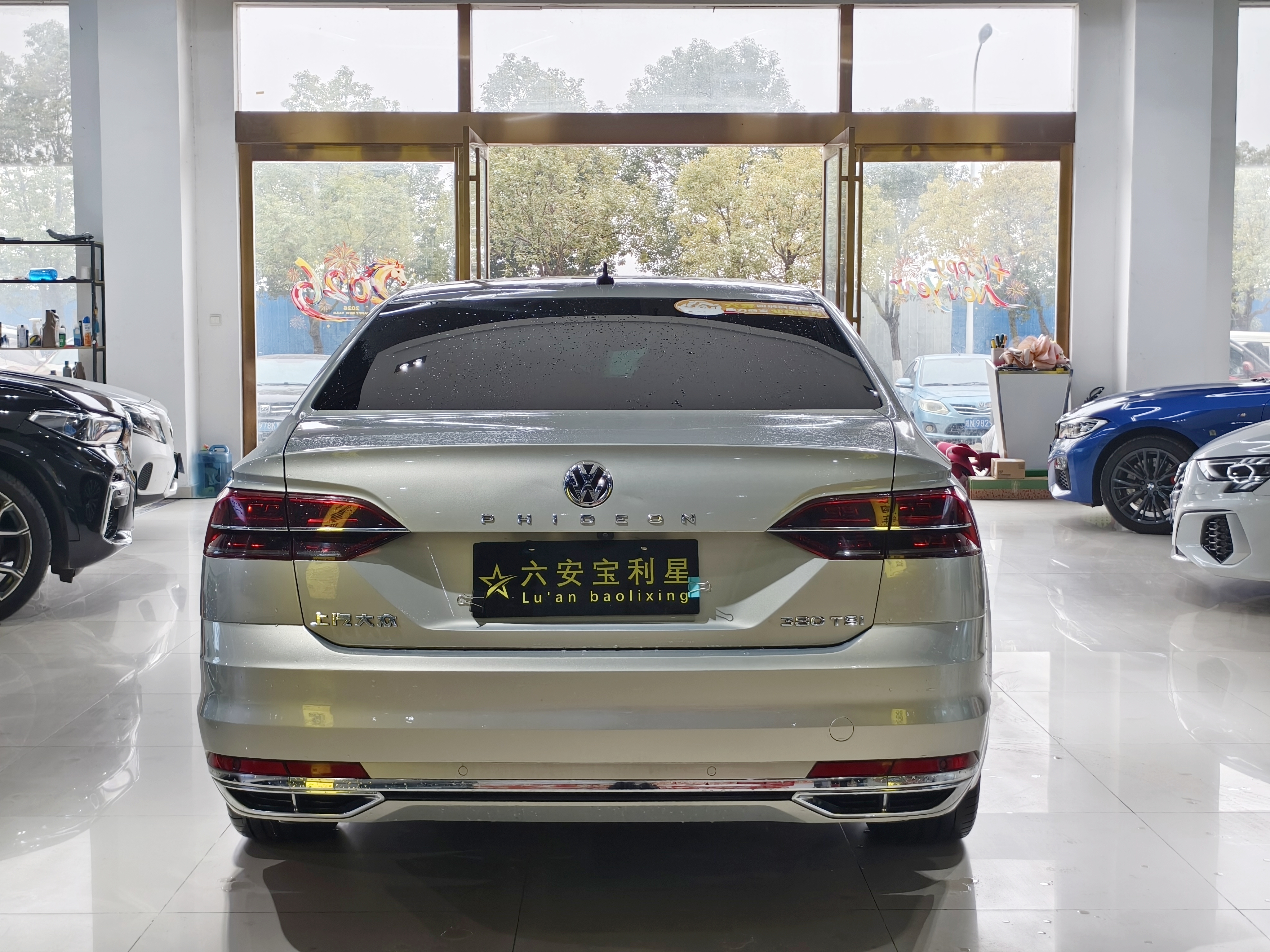 Volkswagen Phideon 2019 car image #11