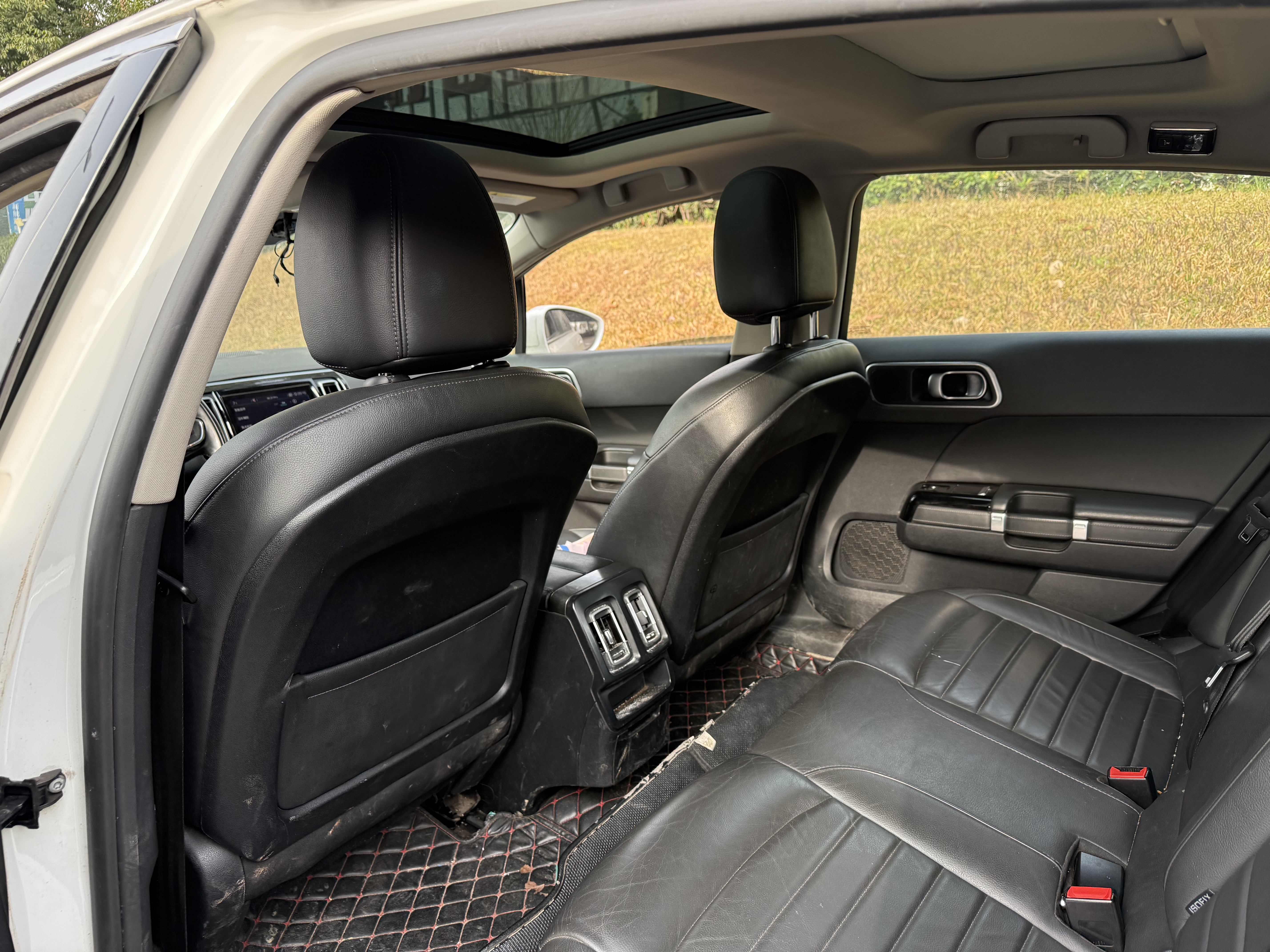 Citroen C6 2017 car image #11