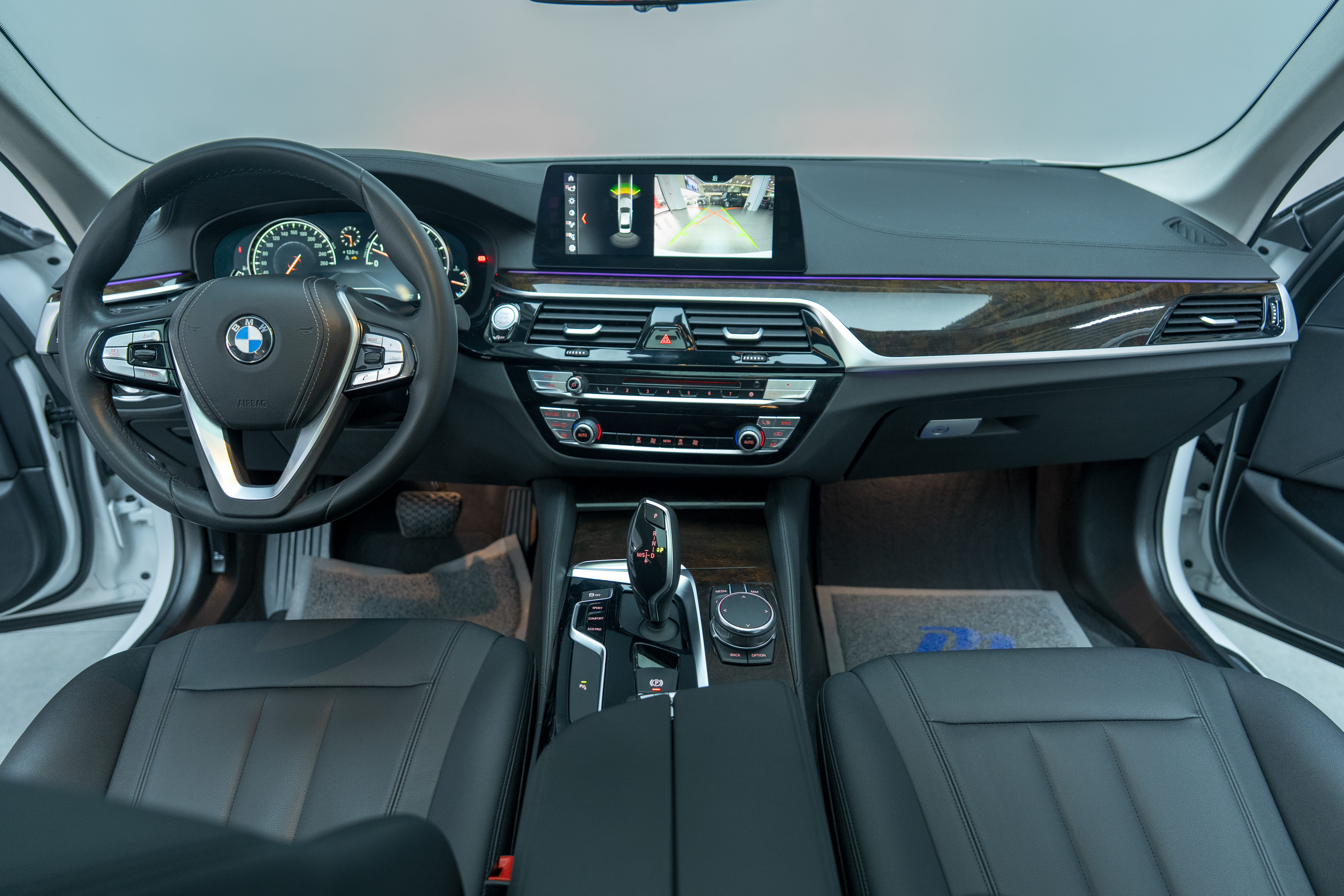 BMW 5 Series 2018 car image #11