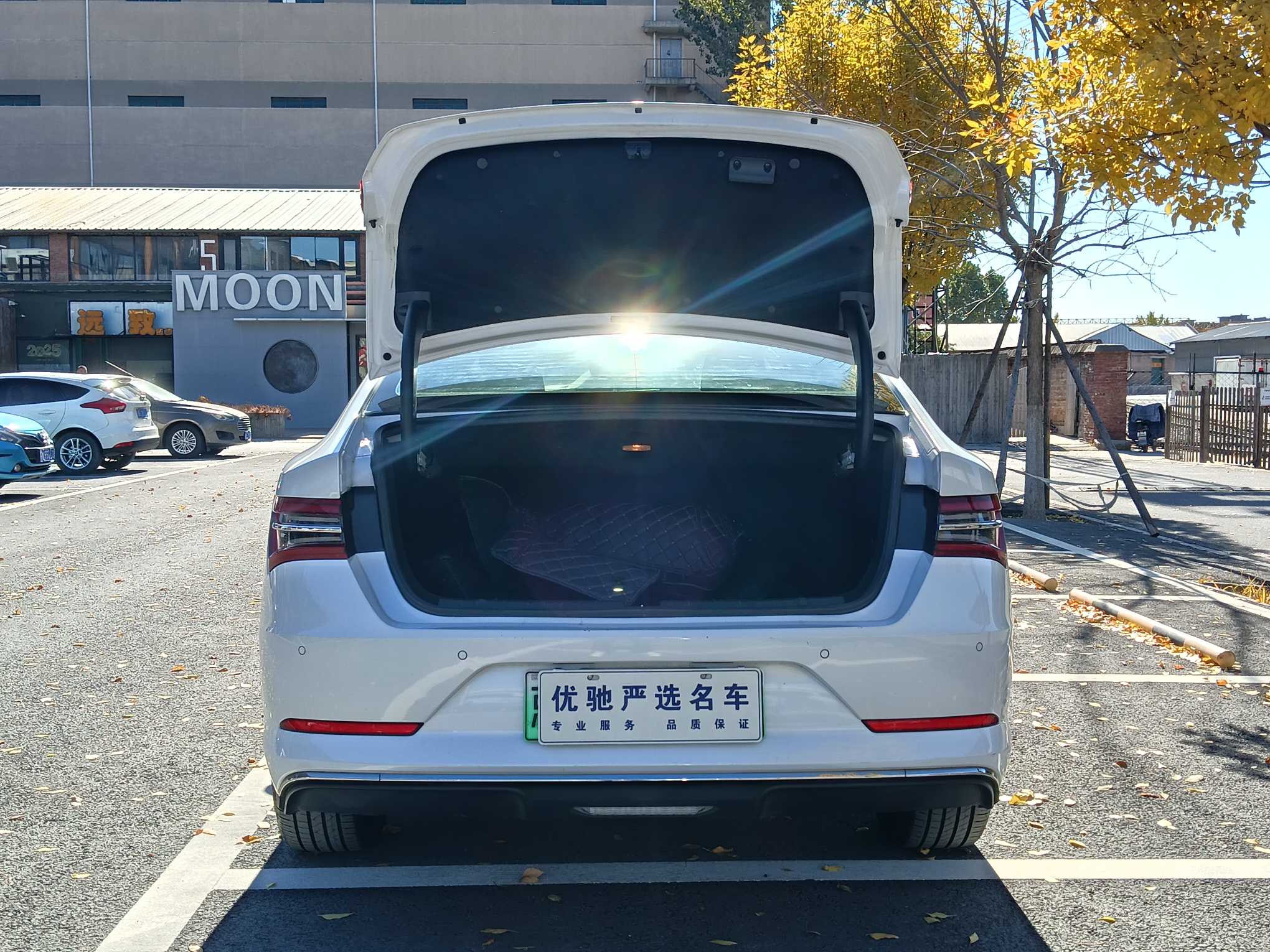 BYD Qin Pro New Energy 2020 car image #11