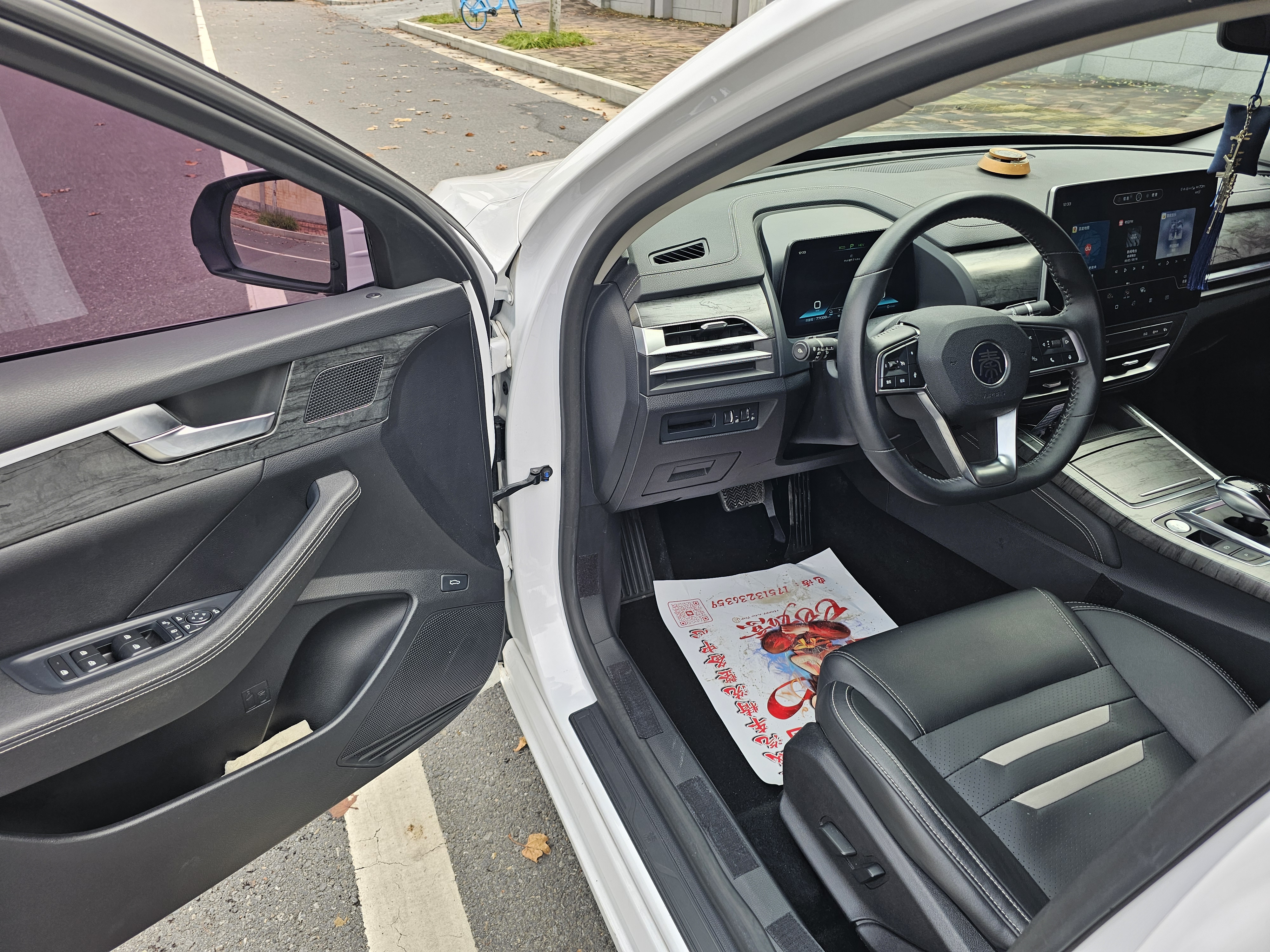 BYD Qin Pro New Energy 2019 #11 BYD Qin Pro New Energy 2019 car image #11