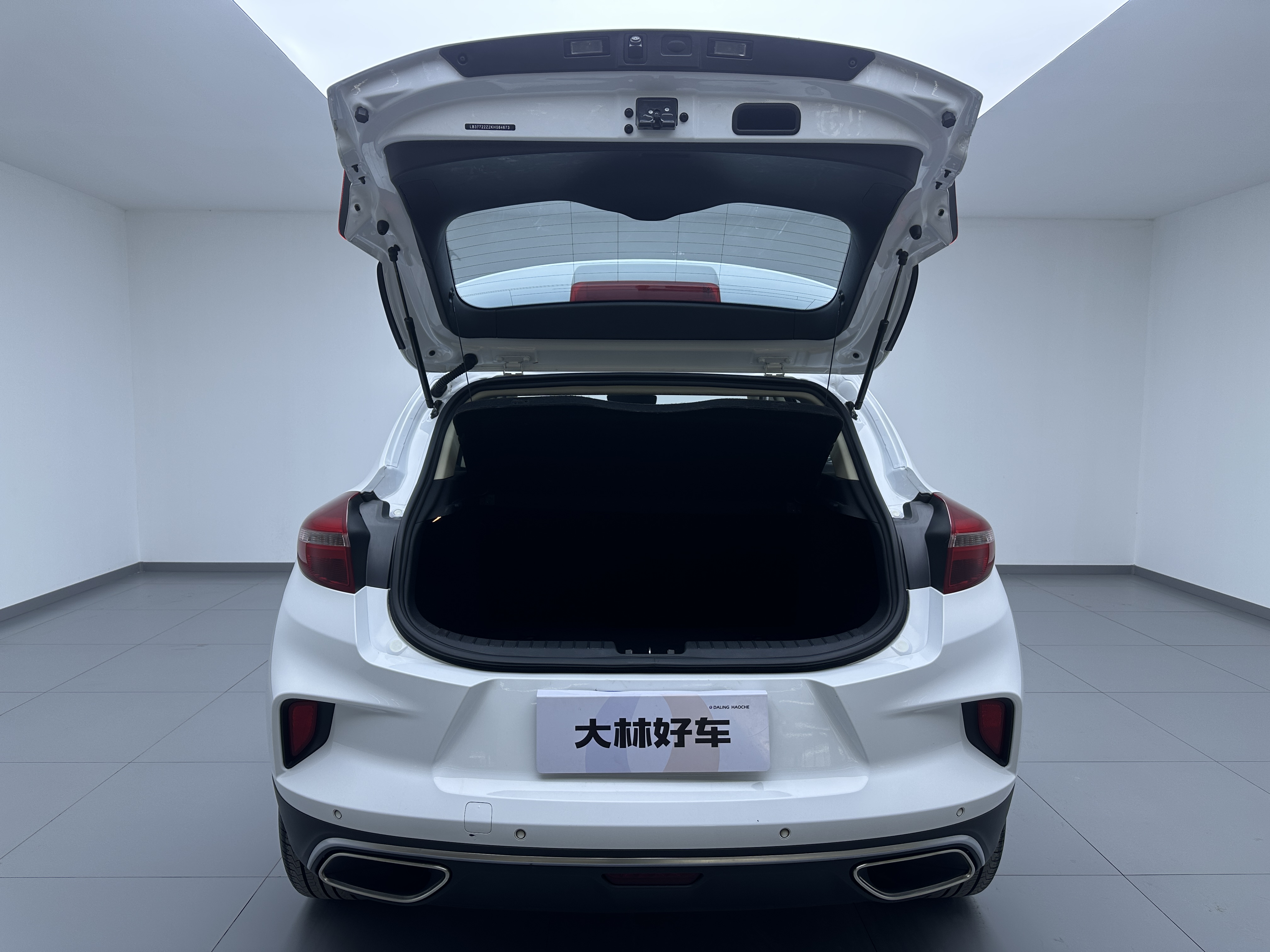 Emgrand GS 2019 #11 Emgrand GS 2019 car image #11