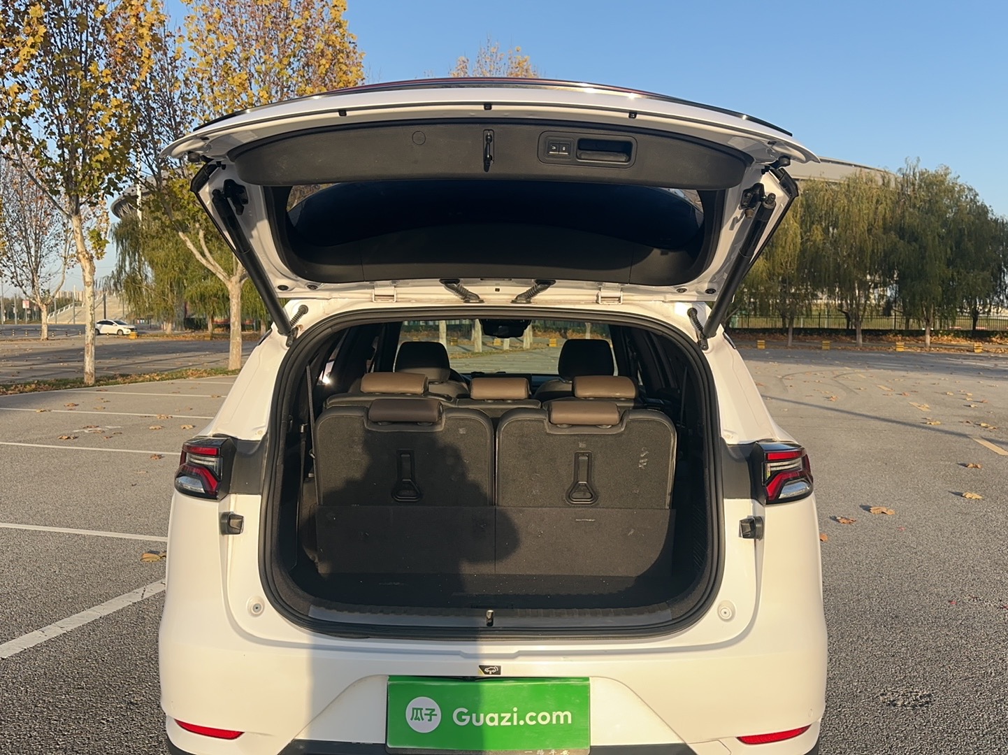 BYD Tang 2021 car image #11