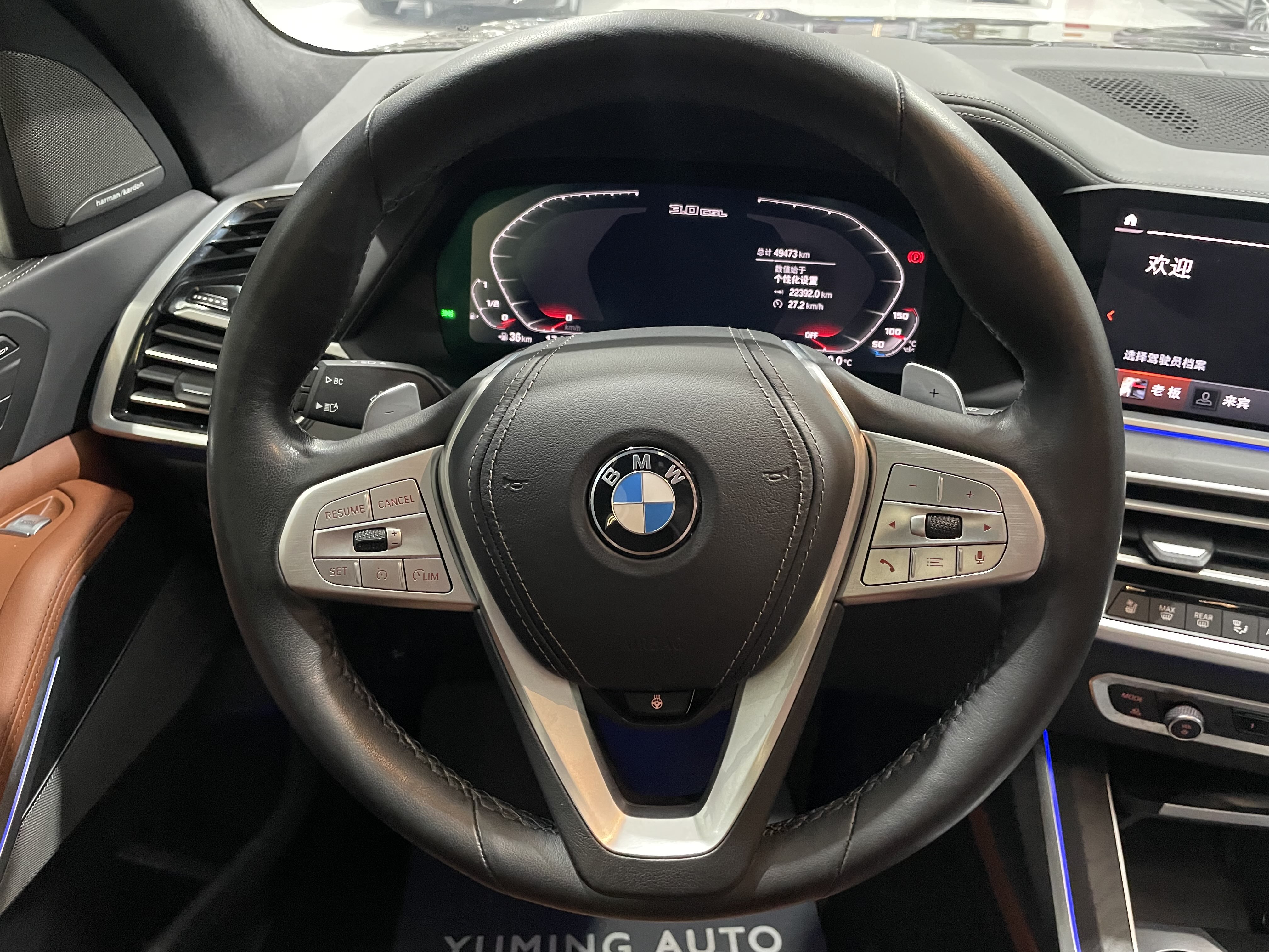 BMW X7 M60i 2021 car image #11