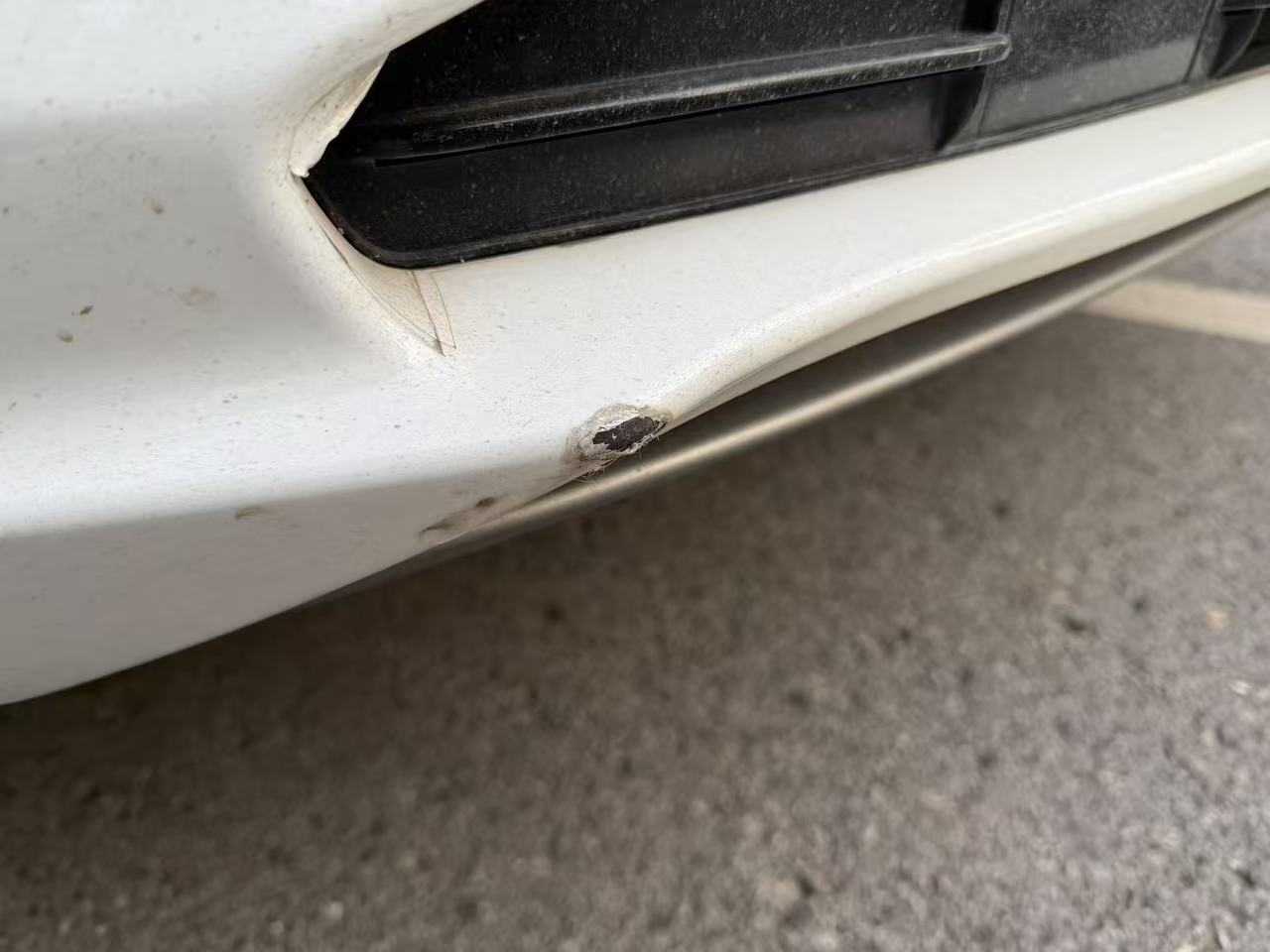 HongQi E-HS9 2021 car image #11