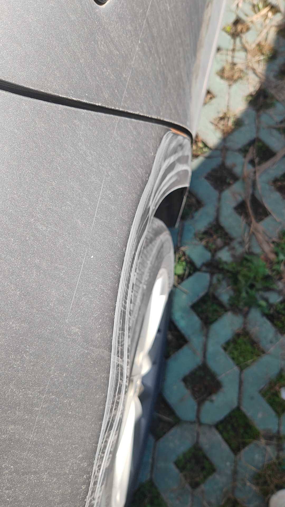 Corolla 2022 car image #11