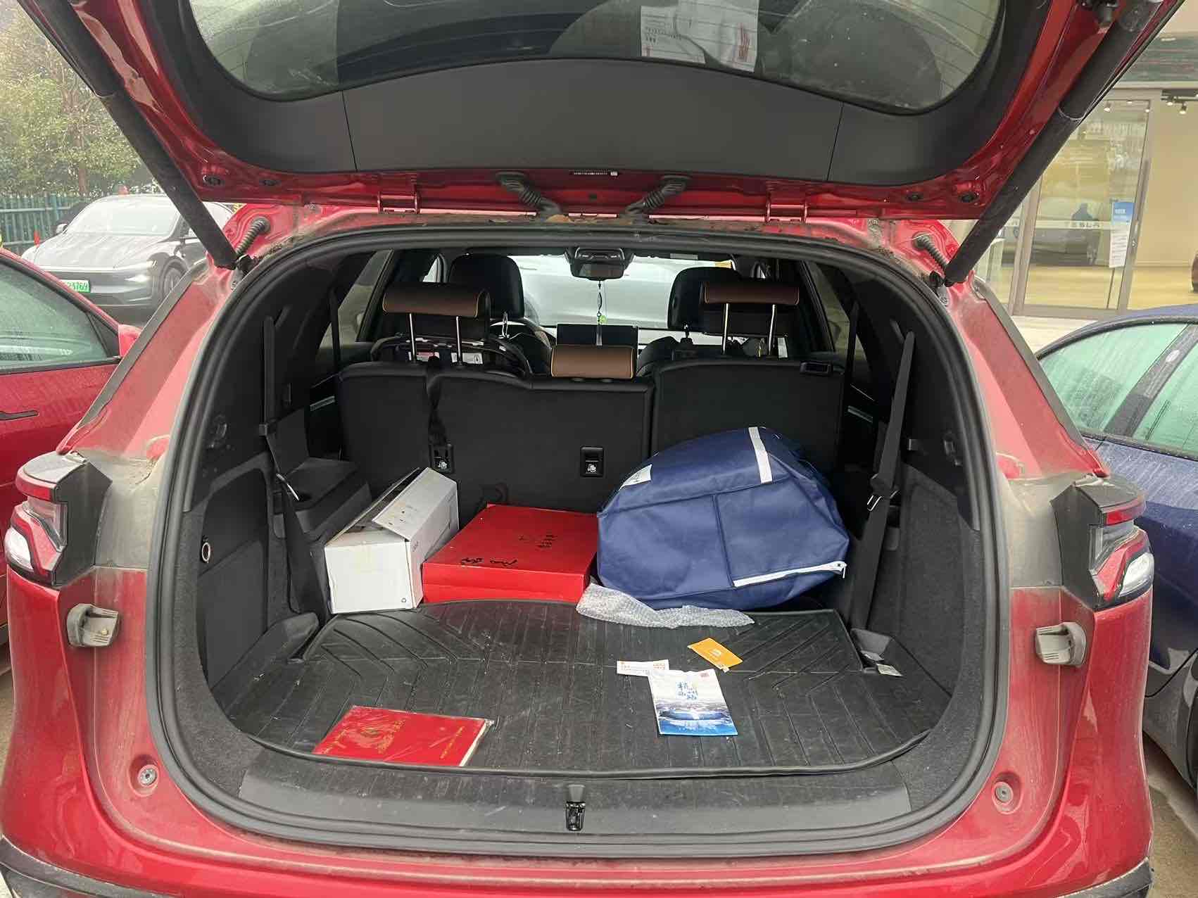 BYD Tang New Energy 2021 car image #11