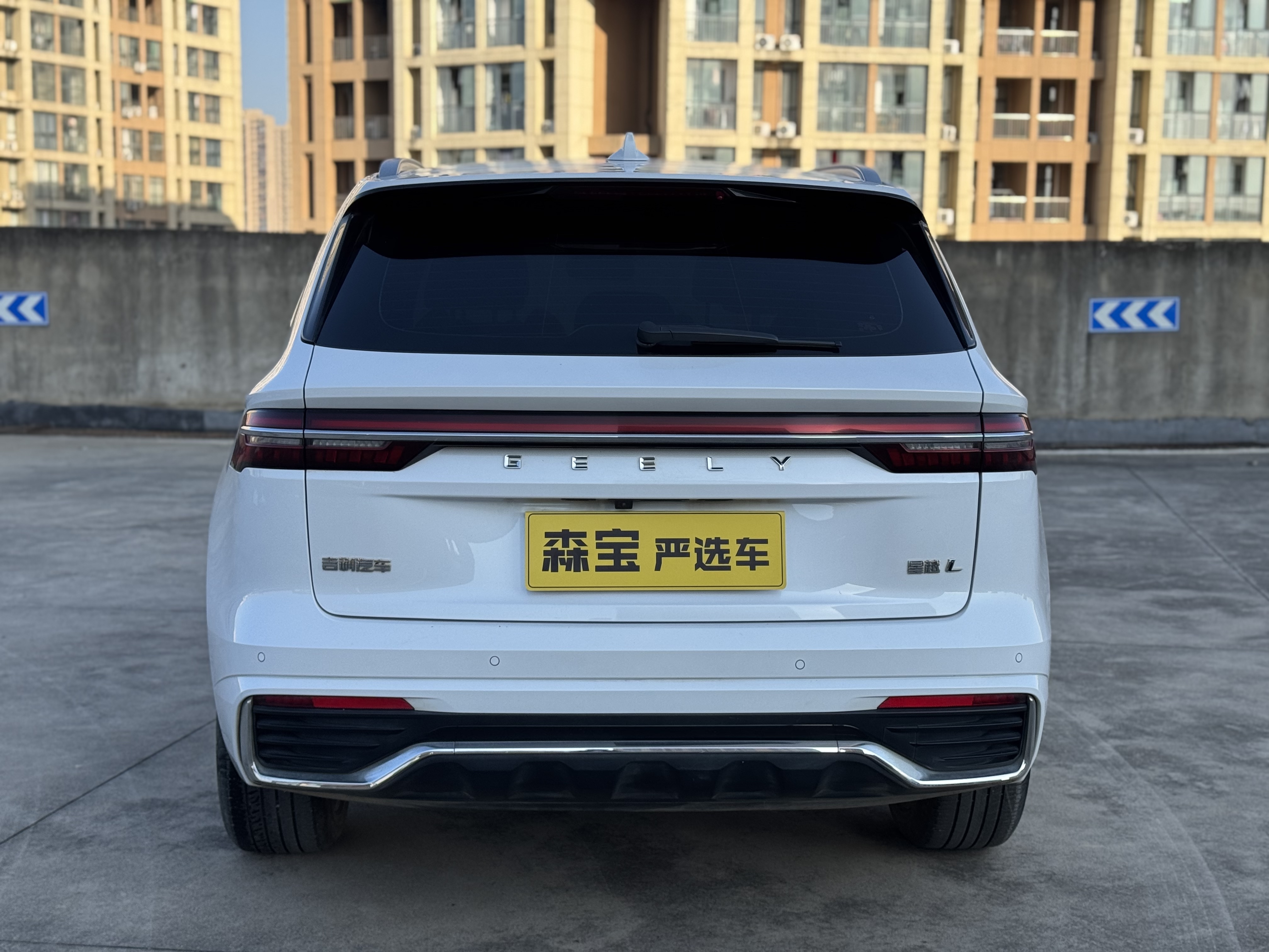 GEELY Monjaro 2023 car image #11
