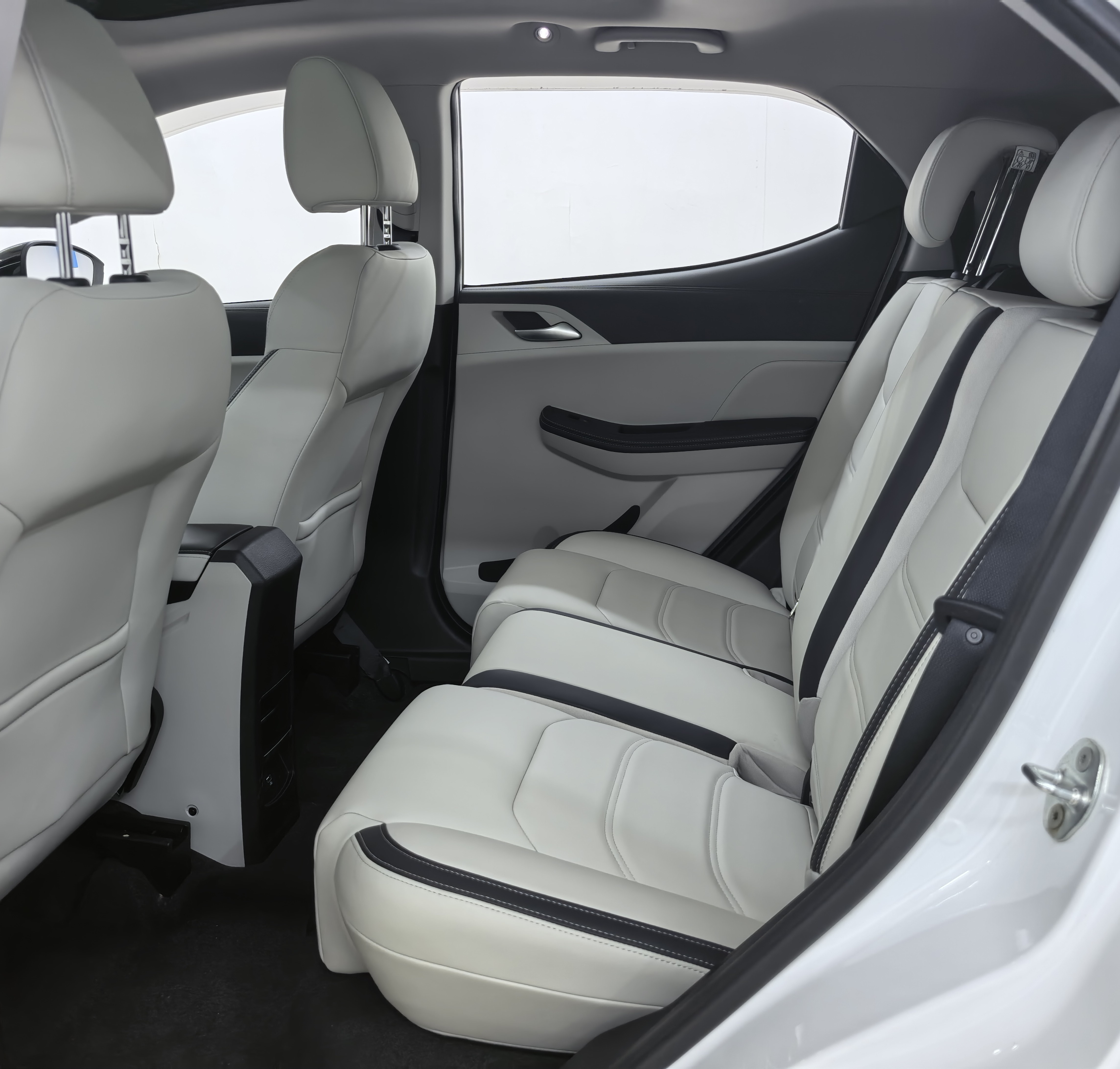 BYD Yuan Pro 2021 car image #11