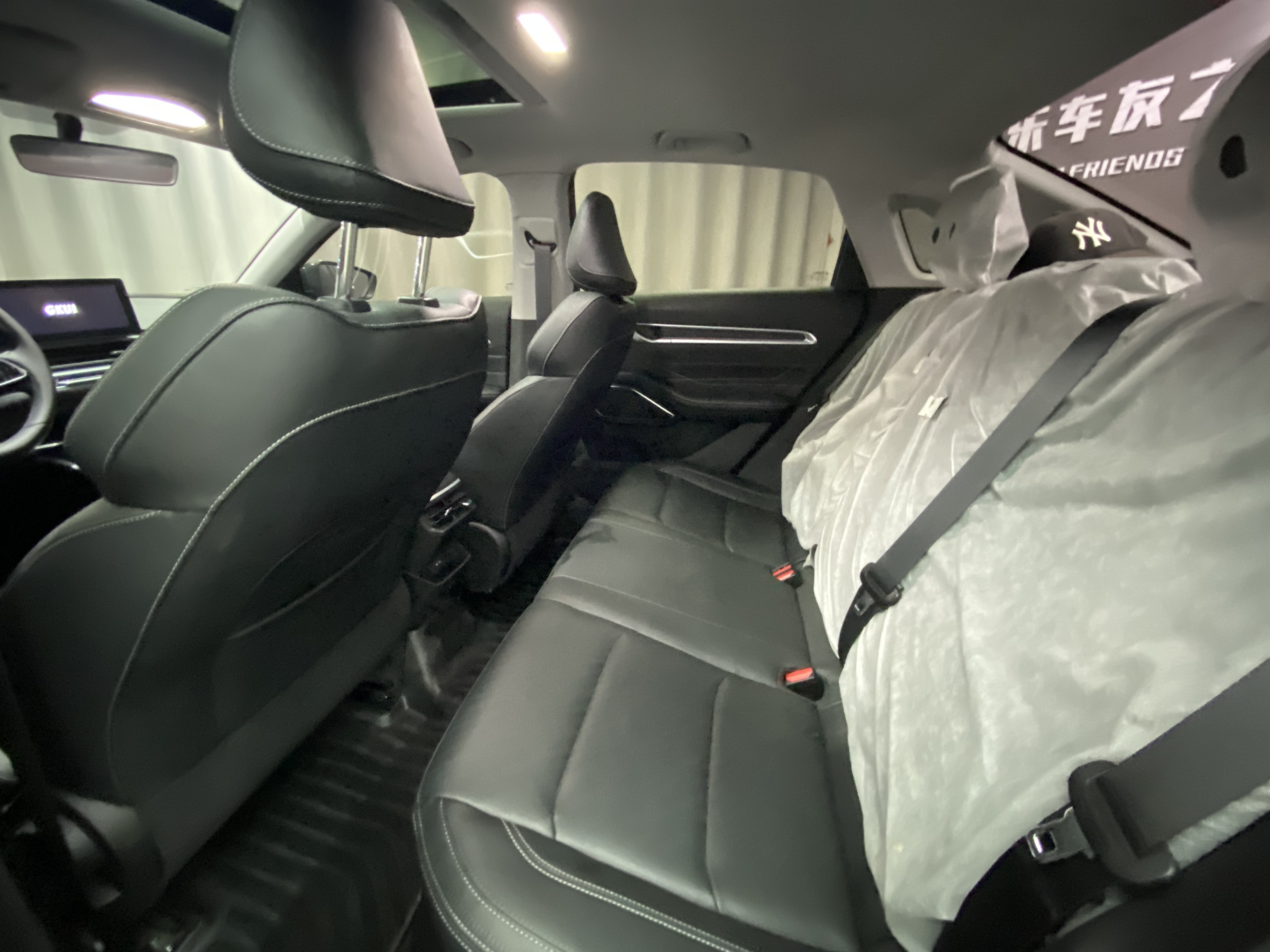 Emgrand 2023 car image #11