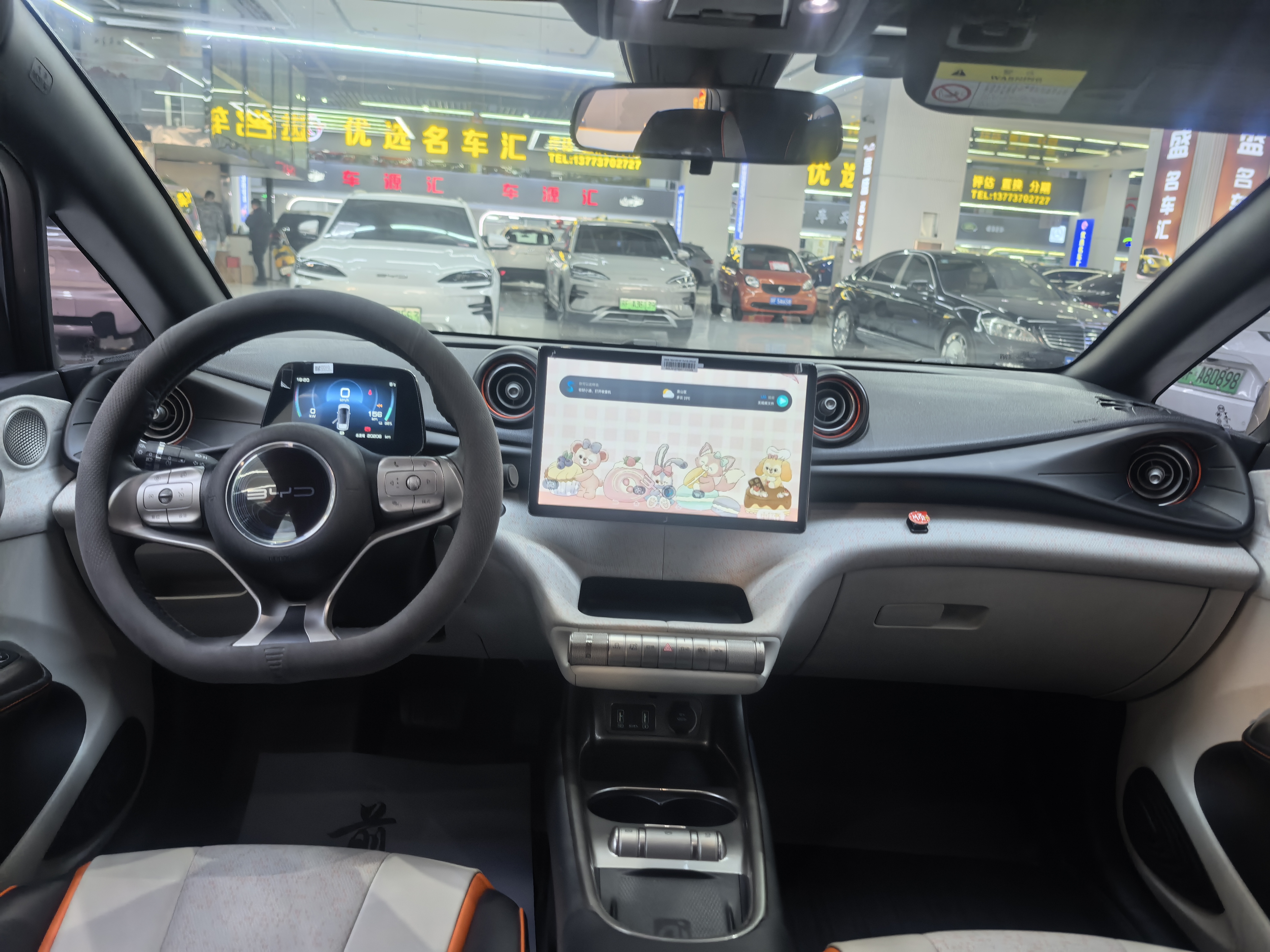 BYD Dolphin 2022 car image #11