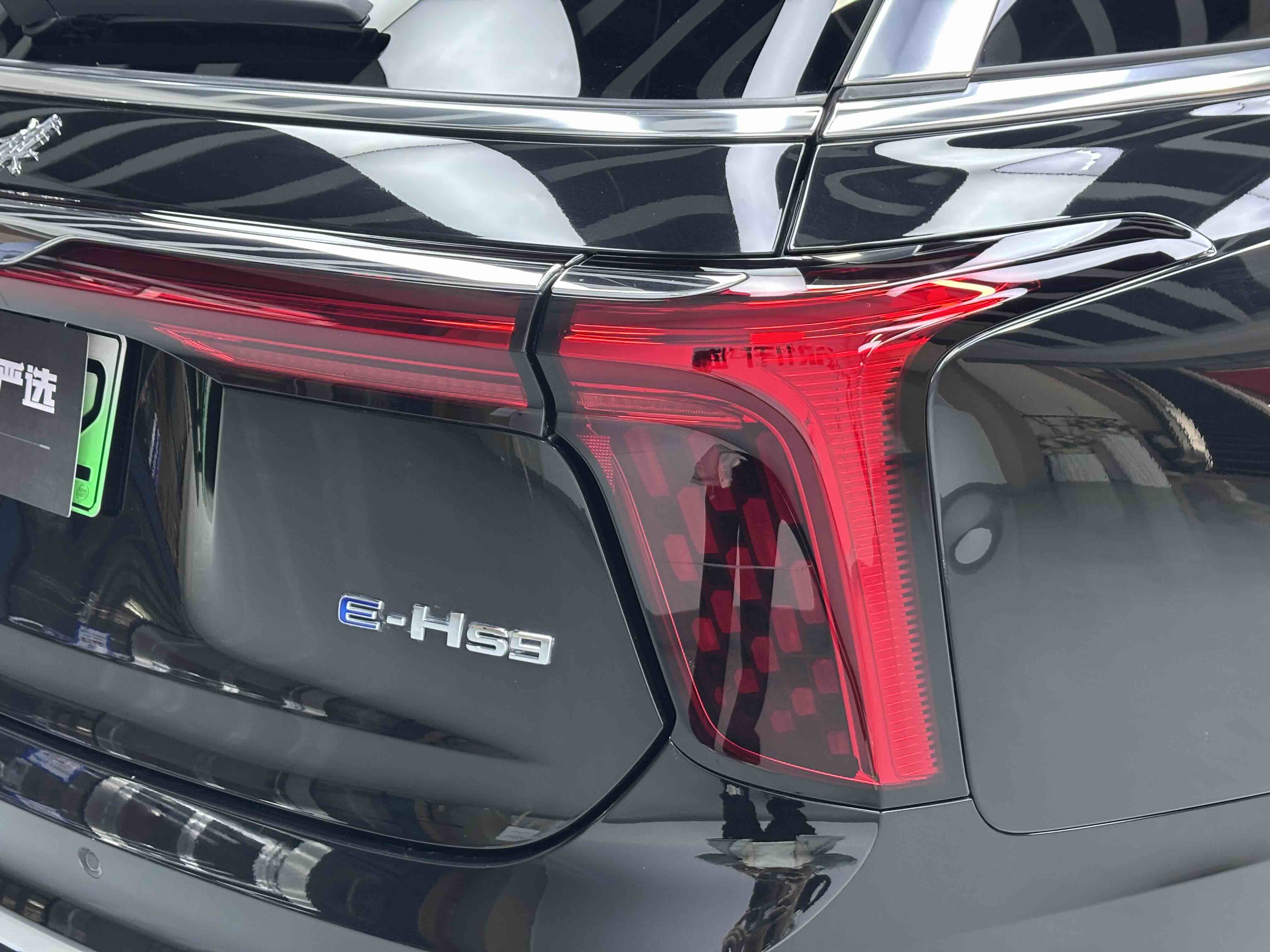 HongQi E-HS9 2023 imagem de carro #11