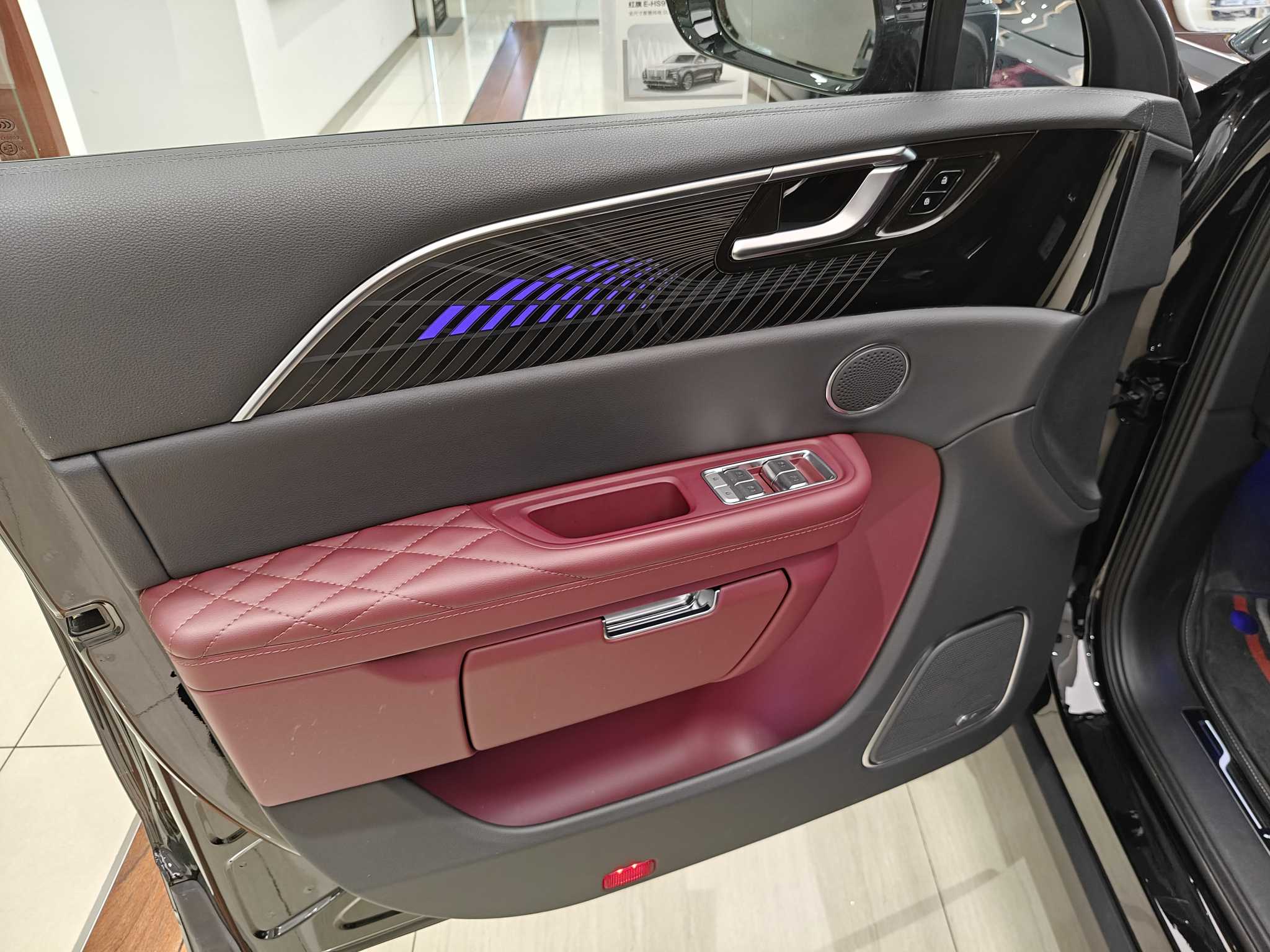 HongQi E-HS9 2026 car image #11