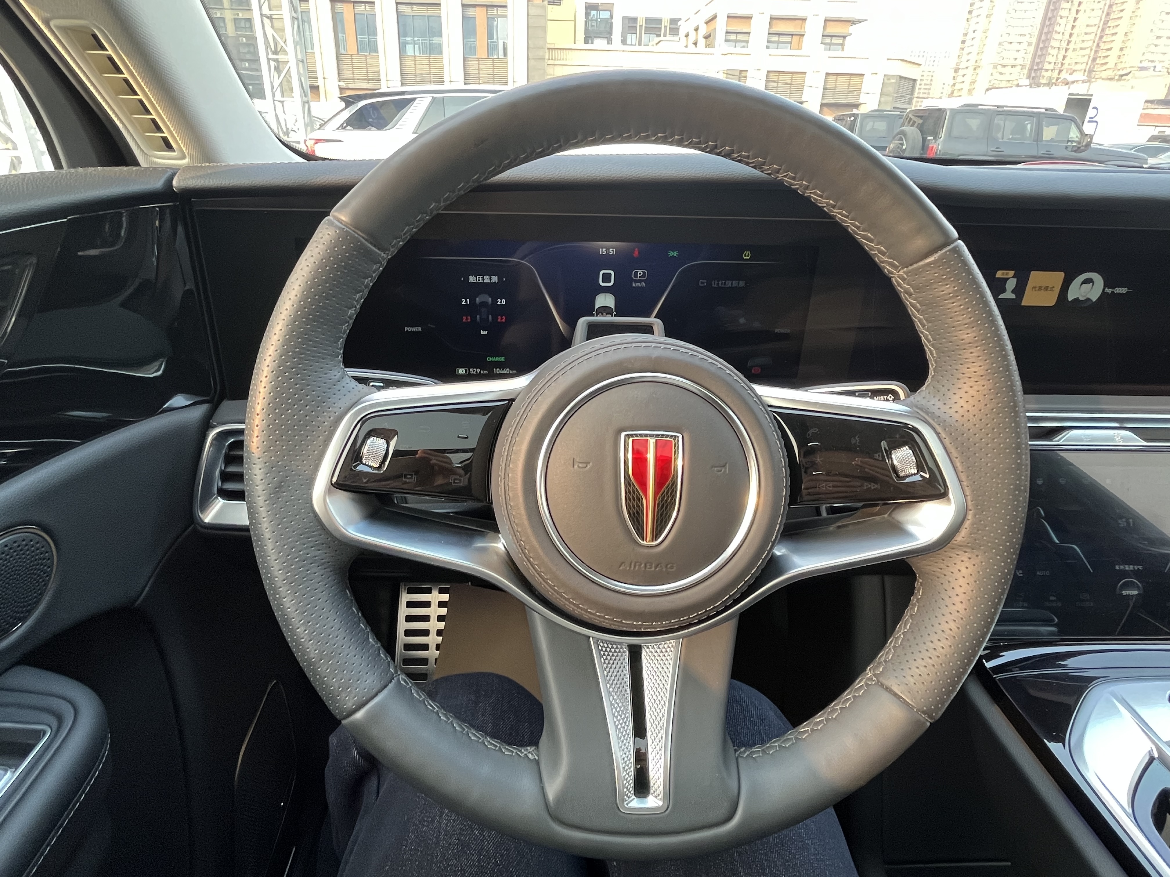 HongQi E-HS9 2023 image de voiture #11