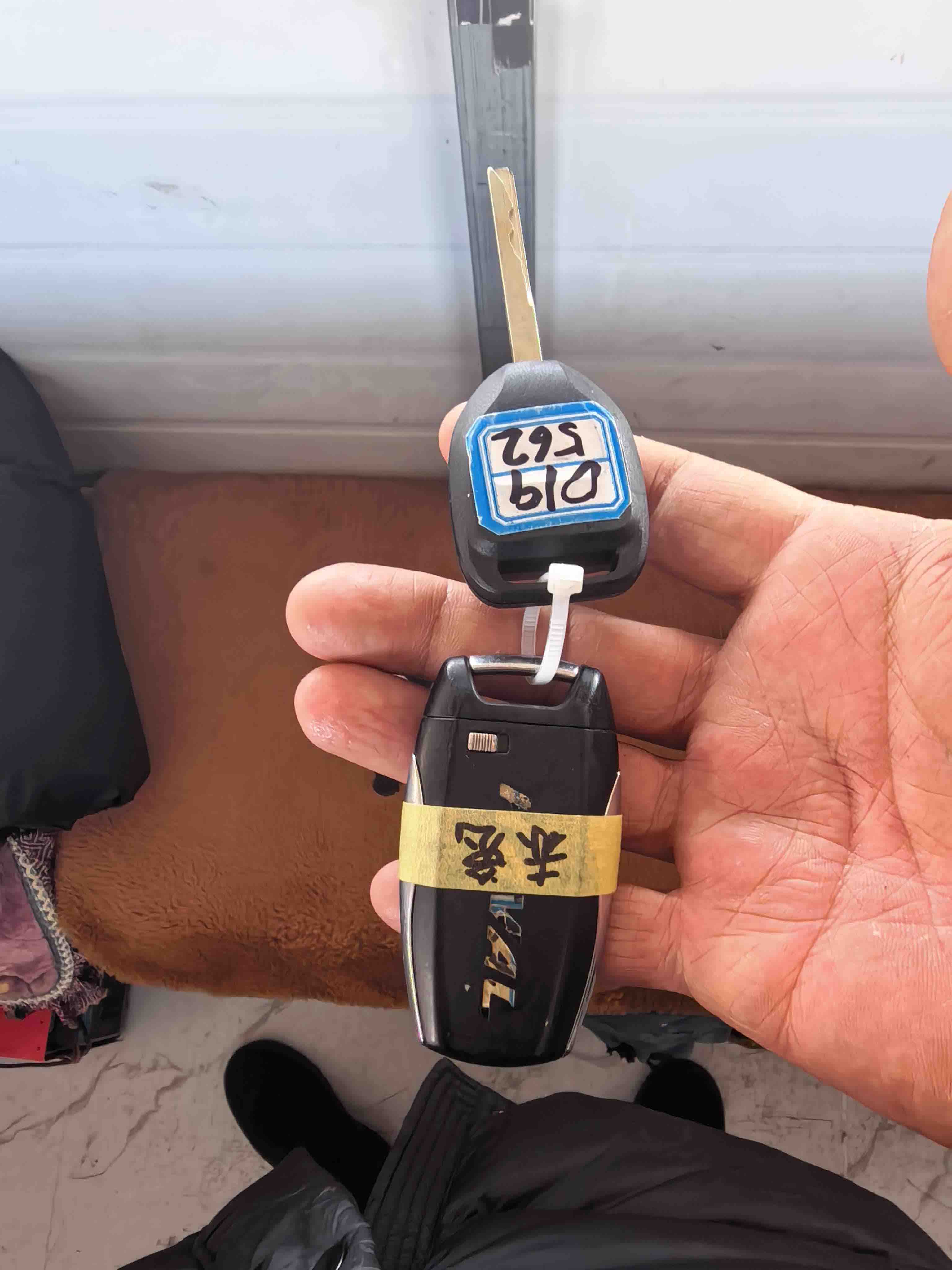 Haval Rabbit 2023 car image #11